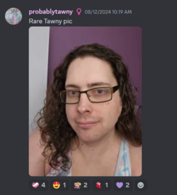 Screenshot 2024-08-23 193345.png