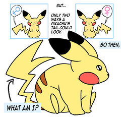pokemon2.jpg