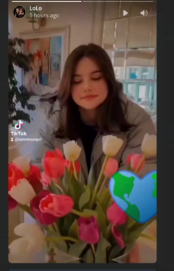 Screenshot 2024-04-25 163058.png