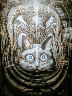 1724521490027.png