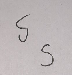 SS.jpg