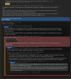 Screenshot 2024-08-24 at 19-53-59 Sexual Orientation Harassment Should I Document w_ HR FL.png