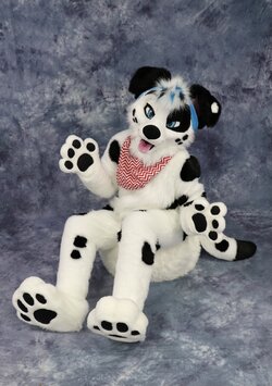 patches2.jpg patches2.jpg