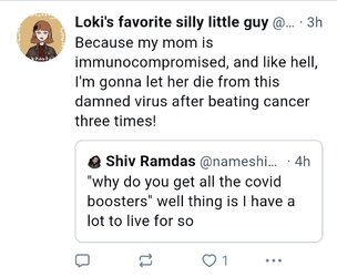 virys.jpg virys.jpg