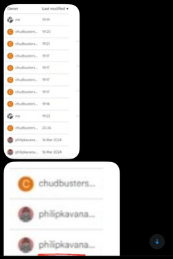 1724607061378.png