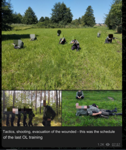 1724617397769.png