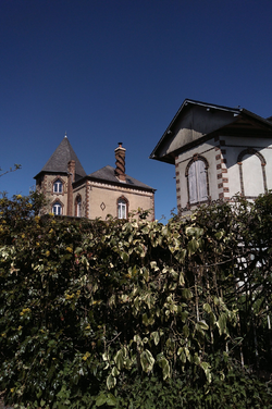 Photo3.png