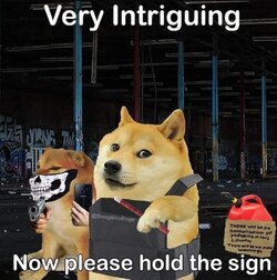 IMG_8236.jpeg