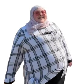 Filtered Fatso.jpg