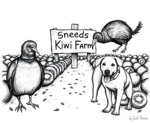 kiwi2.jpg