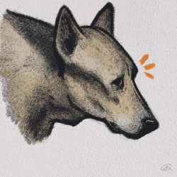 Diego.png