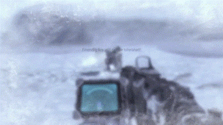 friendly-fire-will-not-be-tolerated.gif