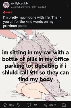 Screenshot_20240827-224521_Reddit.jpg
