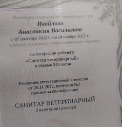 1724894984325.png