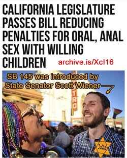 faggot california jew allows pedophilia.jpg