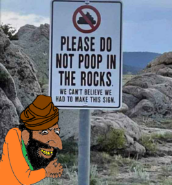 1724957336531.png