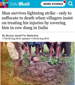 dung.jpg