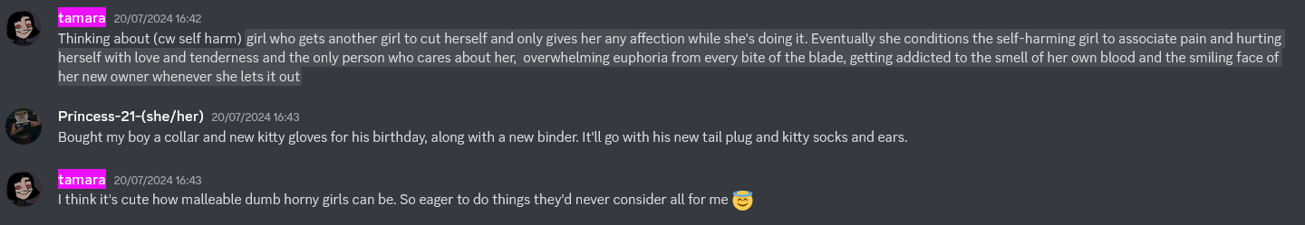 Screenshot 2024-09-01 at 21-27-43 null's hangout - kink-talk.png
