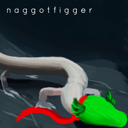lizard.png