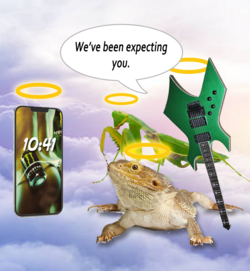 cobphon.png