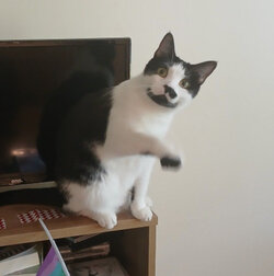 IMG_0313.jpeg