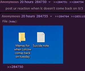 ccbunk1.jpg