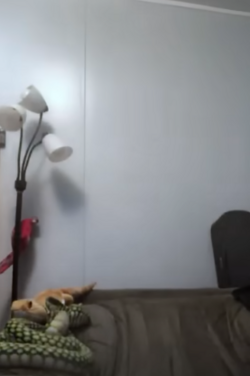 1725321025097.png