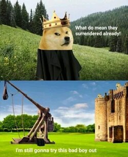 IMG_0413.jpeg