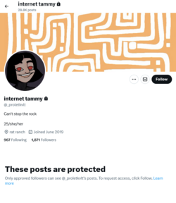 Screenshot 2024-09-03 at 16-36-39 internet tammy (@_proletkvlt) _ X.png