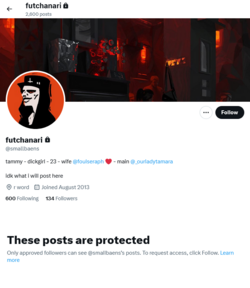 Screenshot 2024-09-03 at 16-36-46 futchanari (@smallbaens) _ X.png