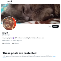 Screenshot 2024-09-03 at 16-36-54 roxy (@foulseraph) _ X.png