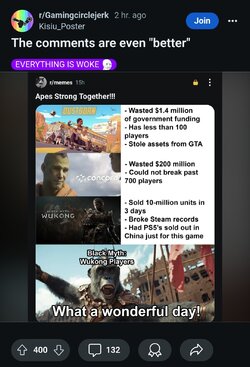 reddit seethes over people not playing dustborn and concord leftist game.jpg