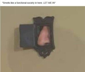 937724.jpg