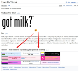 wikipedia troon ..png