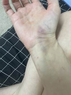 IMG_1287.jpeg