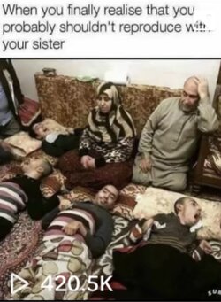 IMG_2620.jpeg