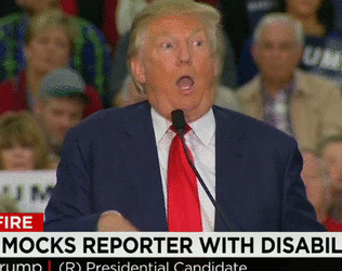 diasbled-reporter[1].gif