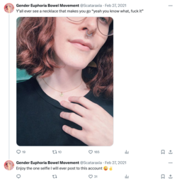 Screenshot 2024-09-05 at 20-49-06 Posts with replies by Gender Euphoria Bowel Movement (@Scata...png