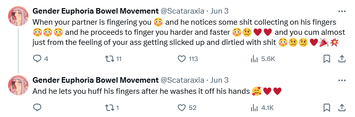 Screenshot 2024-09-05 at 20-06-10 Gender Euphoria Bowel Movement (@Scataraxia) _ X.png