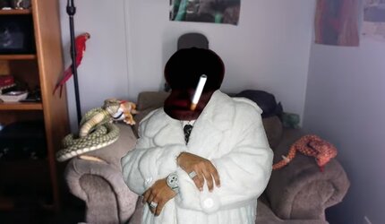 pimpcobrajfs.jpg