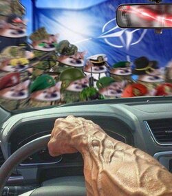 giga chad runs over nafo nigger dogs.jpg