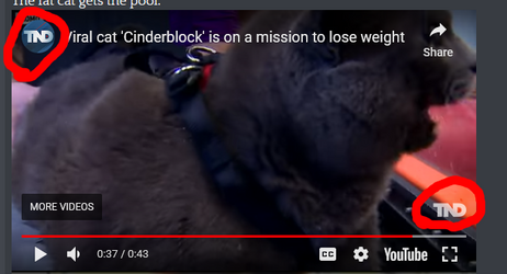 total nigger death.png