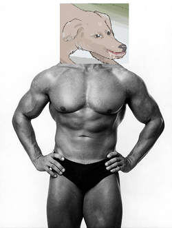 1725678977481.png