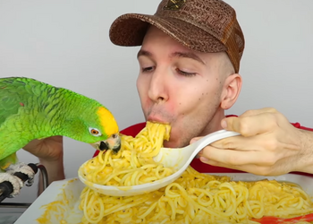fatso.png