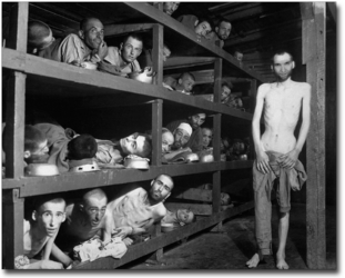 concentrationcamp.png