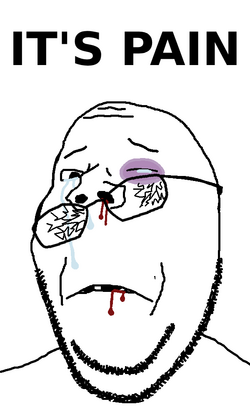 IMG_2332.png
