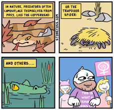 1725759305345.png