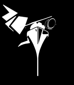 1725760883217.png
