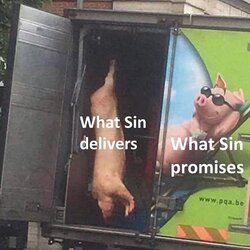 1623589108189.jpg