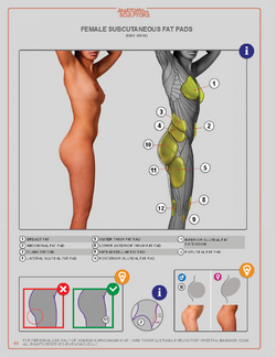 Anatomyforsculptors_2014_Page_059.png